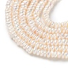 Natural Cultured Freshwater Pearl Beads Strands PEAR-C004-05-4