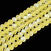 Transparent Glass Beads Strands EGLA-A044-T4mm-MB29-1