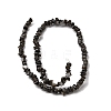 Natural Freshwater Shell Beads SHEL-B003-01J-2