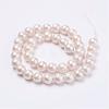 Wrinkle Textured Shell Pearl Beads Strands BSHE-E016-8mm-07-2