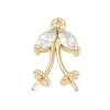 Rack Plating Brass with Cubic Zirconia Pendants LS-KK-Q018-04G-1