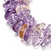 Natural Ametrine Beads Strands G-Z124-A02-01-4