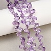 Natural Amethyst Beads Strands G-Z152-A01-01-1