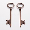 Tibetan Style Alloy Skeleton Key Large Pendants TIBEP-S105-R-RS-1