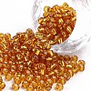 6/0 Glass Seed Beads SEED-A005-4mm-22B-1