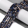 Natural Sodalite Beads Strands G-G139-B22-01-2