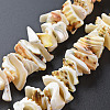 Natural Spiral Shell Bead Strands SSHEL-N034-110-2