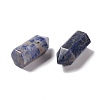 Natural Sodalite Sculpture Display Decoration G-A205-27J-3