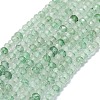 Natural Green Strawberry Quartz Beads Strands G-G106-A12-01-1