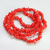 Natural Shell Beads Strands BSHE-D002-03-2