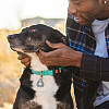 42Pcs 3 Colors Transparent Blank Acrylic Pet Dog ID Tag PALLOY-AB00046-7
