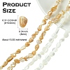 2 Strands 2 Colors Natural Shell Beads Strands SHEL-CJ0001-35-2