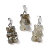 Natural Labradorite Pendants G-G854-01P-05-1