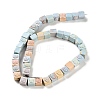 Natural Rainbow Alashan Agate Beads Strands G-NH0022-G01-01-3