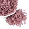 FGB Frosted Transparent Glass Seed Beads SEED-N013-03A-06-1