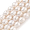 Natural Cultured Freshwater Pearl Beads Strands PEAR-P062-09C-1