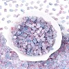 Transparent Spray Painted Glass Seed Beads SEED-L011-10A-19-2