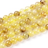 Natural Gold Rutilated Quartz Beads Strands X-G-S150-17-8mm-3