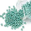 TOHO 6/0 Round Beads X-SEED-TR06-PF0561-1