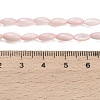 Natural Freshwater Shell Beads Strands SHEL-C010-01F-4