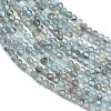 Natural Apatite Beads Strands G-RM250104-C5-5