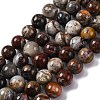Natural Mexico Crazy Agate Beads Strands G-L615-A01-04-4