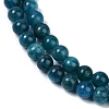 Natural Apatite Beads Strands G-D856-01-6mm-03-3