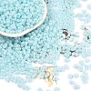 Baking Paint Glass Seed Beads SEED-L011-09A-08-1