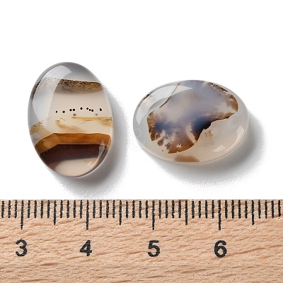 Natural Dendritic Agate Cabochons G-B138-01-1