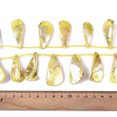 AB Color Plated Dyed Natural Freshwater Shell Beads Strands SHEL-T020-55D-1