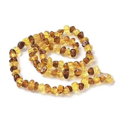 Natural Amber Beads Strands G-L095-E01-03-1