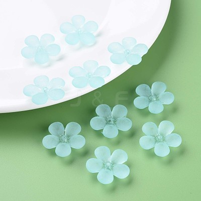 Transparent Acrylic Beads MACR-S373-116-D07-1