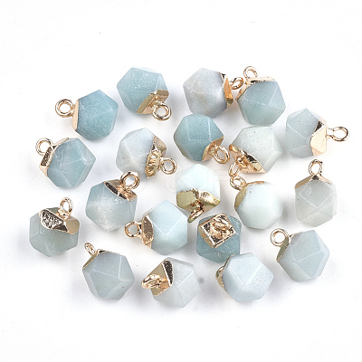 Electroplate Natural Amazonite Charms X-G-S344-08F-1