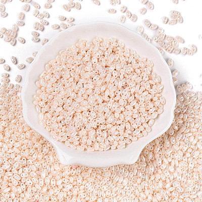 Opaque Colours Luster Glass Seed Beads SEED-T006-02H-1