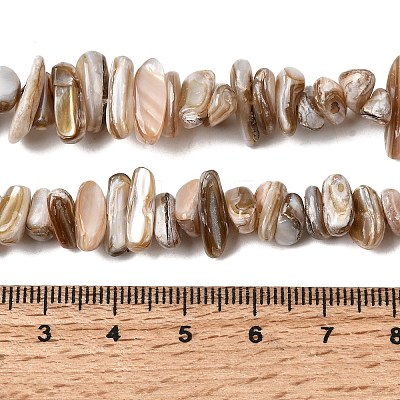Natural Freshwater Shell Beads Strands SHEL-A006-05-1