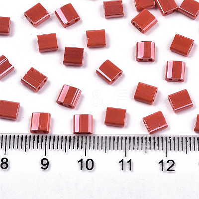 FGB 2-Hole Glass Seed Beads X-SEED-S031-L-ST125-1