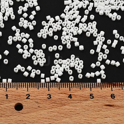 Opaque Colours Glass Seed Beads SEED-S042-09B-03-1