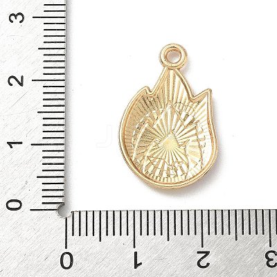 Alloy Enamel Pendants FIND-C074-01J-1