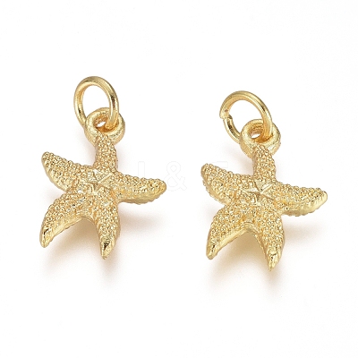 Electroplated Alloy Charms PALLOY-G267-06G-1