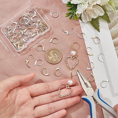 60Pcs 2 Colors Brass Leverback Earring Findings KK-CN0002-36-1