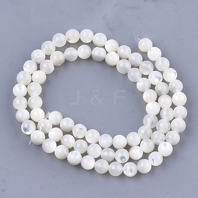 Natural White Shell Beads SHEL-T012-49C-1