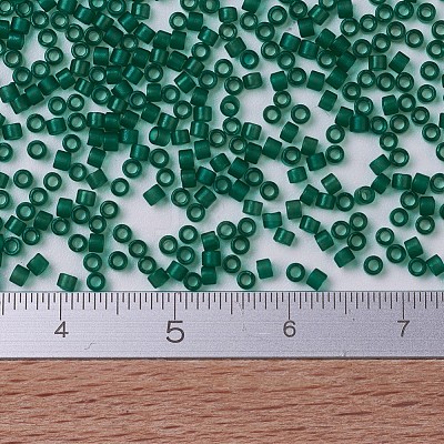 MIYUKI Delica Beads X-SEED-J020-DB0776-1