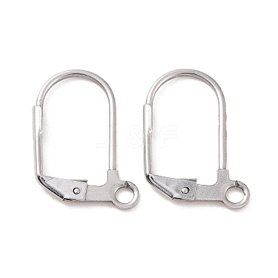 Tarnish Resistant 304 Stainless Steel Leverback Earring Findings LS-STAS-E007-6-1