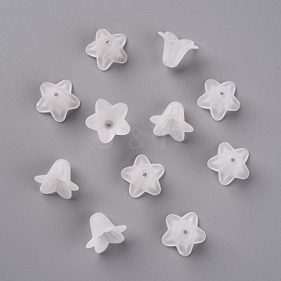 Transparent Acrylic Beads PLF018-01-1