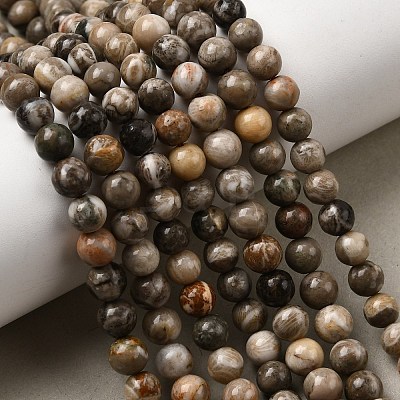 Natural Fossil Coral Beads Strands G-G212-6mm-31-1