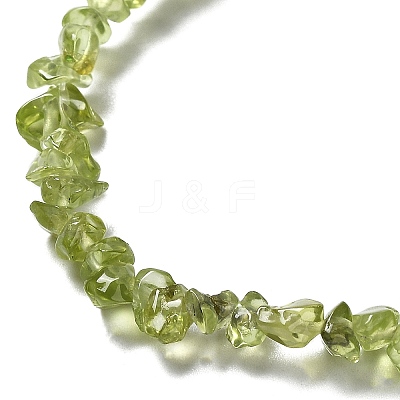 Natural Peridot Beads Strands G-E607-A06-1
