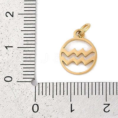 Ion Plating(IP) 304 Stainless Steel Charms STAS-R135-05G-11-1