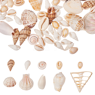 Mixed Shell Beads BSHE-PH0003-20-1