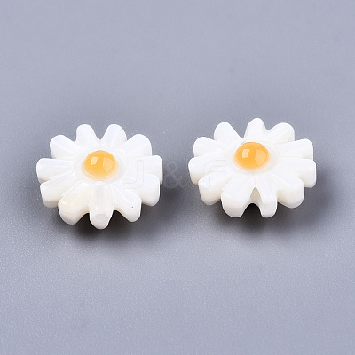 Natural Freshwater Shell Beads SHEL-S266-14B-1