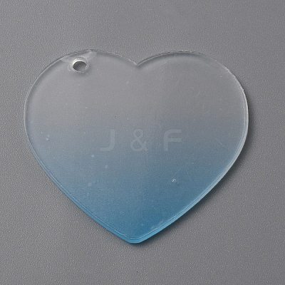Gradient Transparent Acrylic Disc Big Pendants LS-FIND-WH0032-54A-1